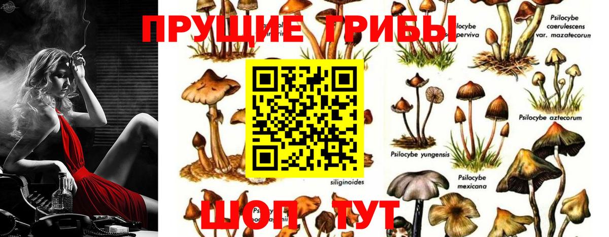 Карталы  Галлюциногенные грибы мицелий  Вход с VPN 